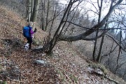 87 Sentiero tappeto di foglie secche